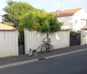 cani vtt
