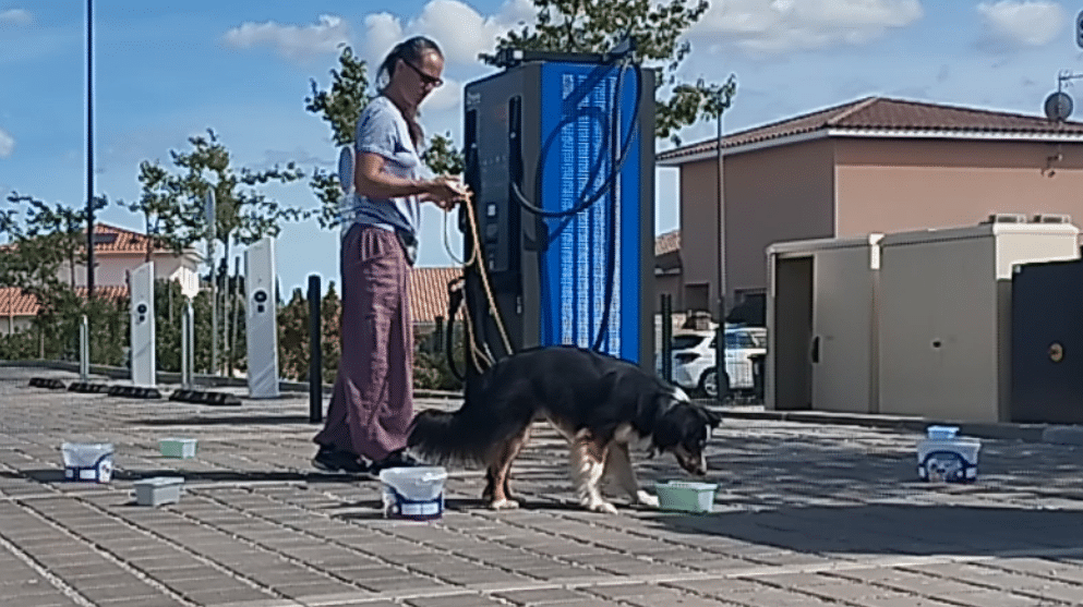 capture d'écran 2026 05 25 182945